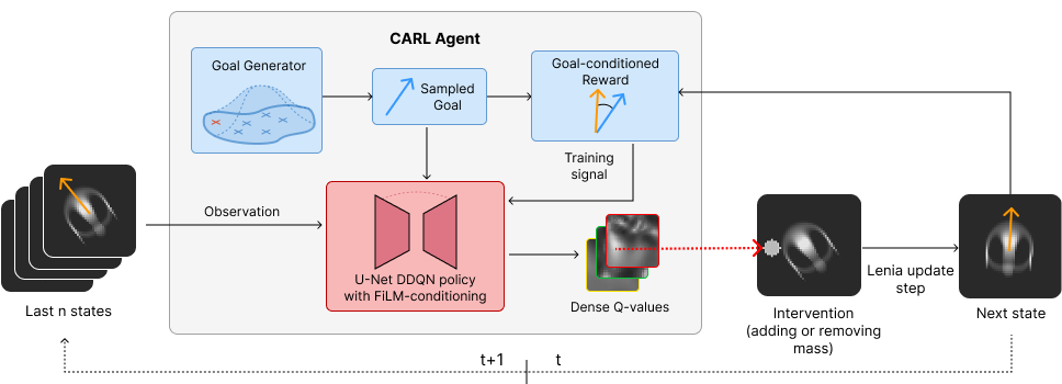 The CARL loop: a goal generator samples a goal, a goal-conditioned RL policy observes the Lenia state and outputs an intervention, the Lenia update rule advances the grid, and a goal-conditioned reward feeds a training signal back to the policy.