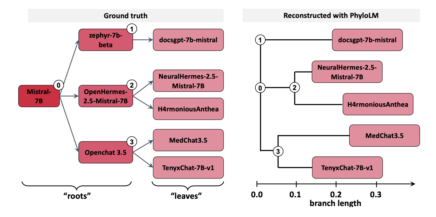PhyloLM tree reconstruction results